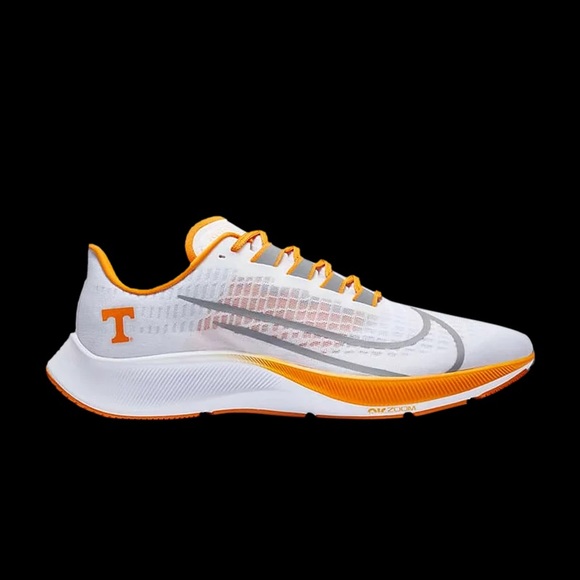 Nike | Shoes | Nike Air Zoom Pegasus 37 